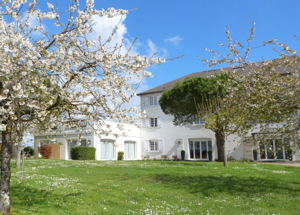 Logis Hotel Restaurant Des Chateaux Azay-le-Rideau Exterior foto